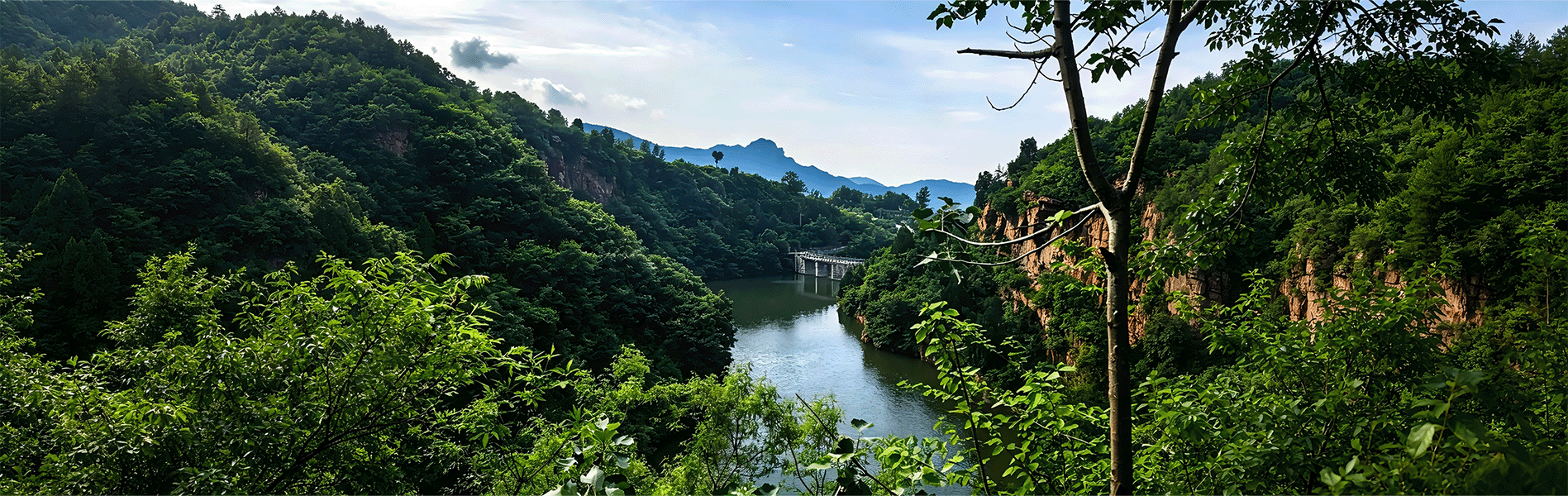 新密·伏羲山水源地